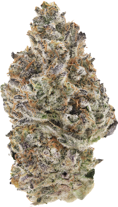 Cannabis flower sample