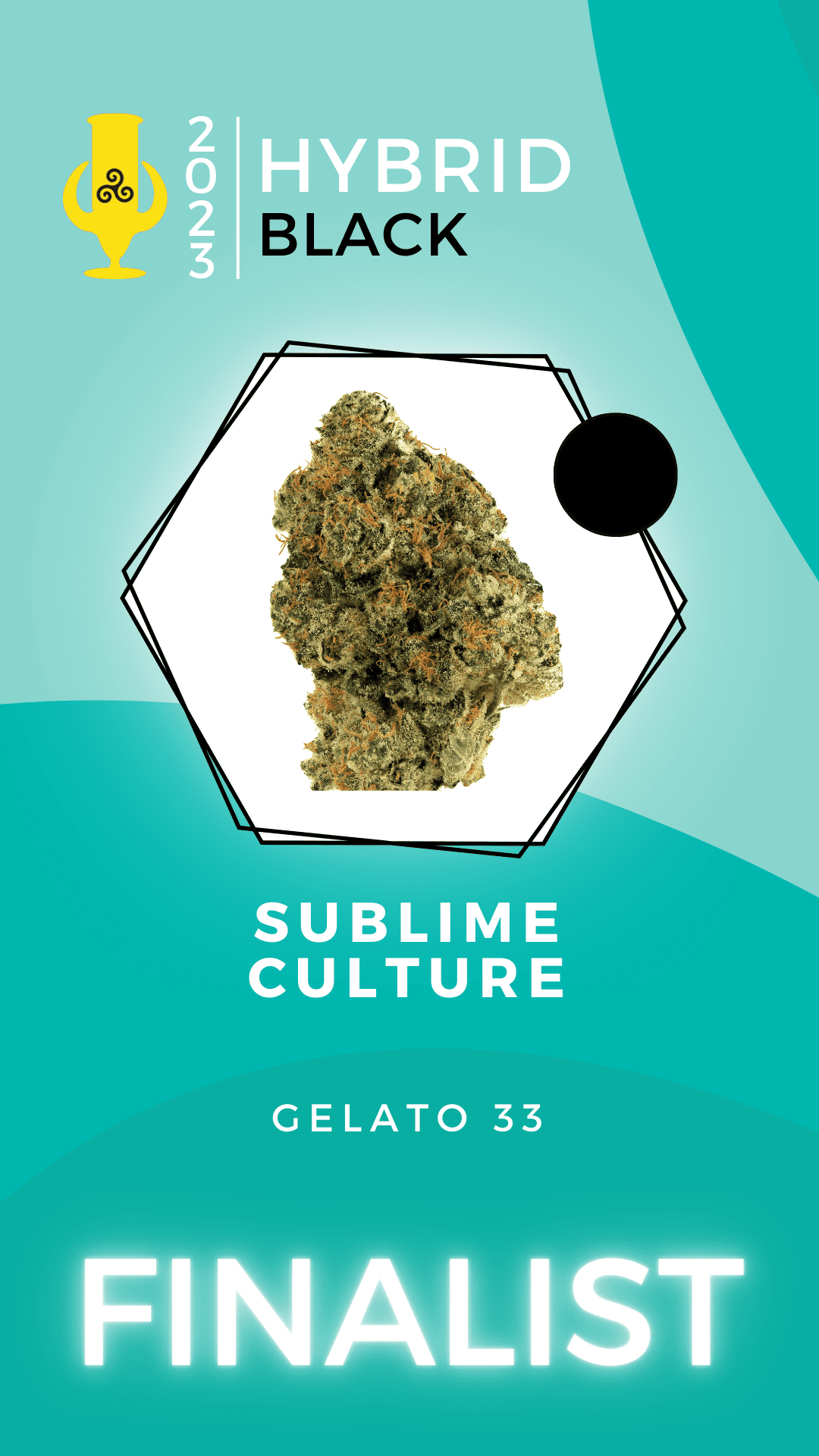Karma Cup 2023 Hybrid finalist Sublime Culture