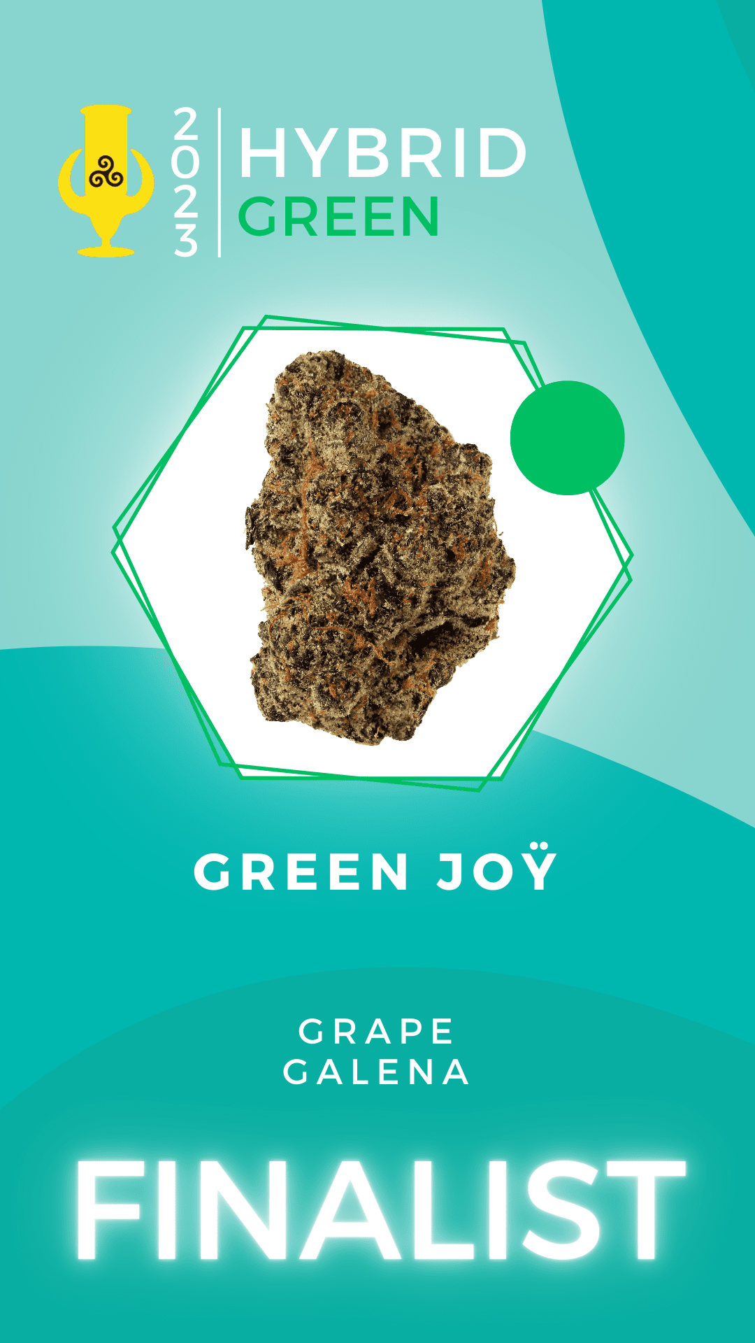 Karma Cup 2023 Hybrid finalist Green Joy