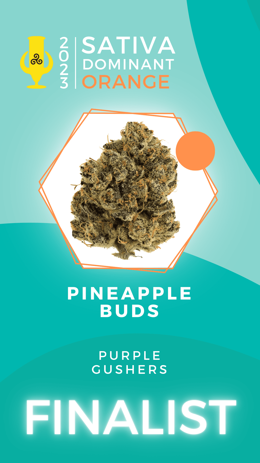 Karma Cup 2023 Sativa finalist Pineapple Buds