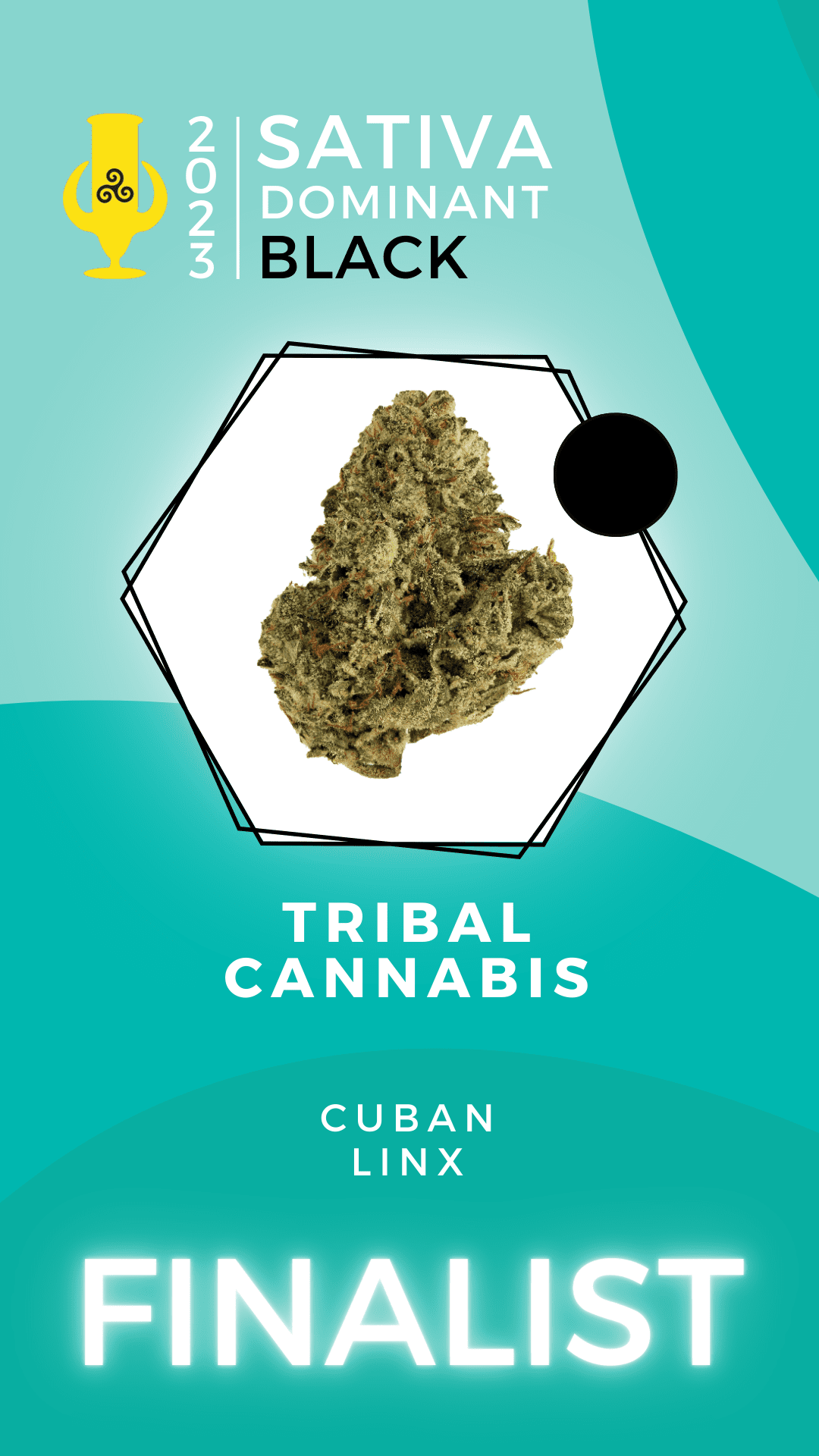 Karma Cup 2023 Sativa finalist Tribal