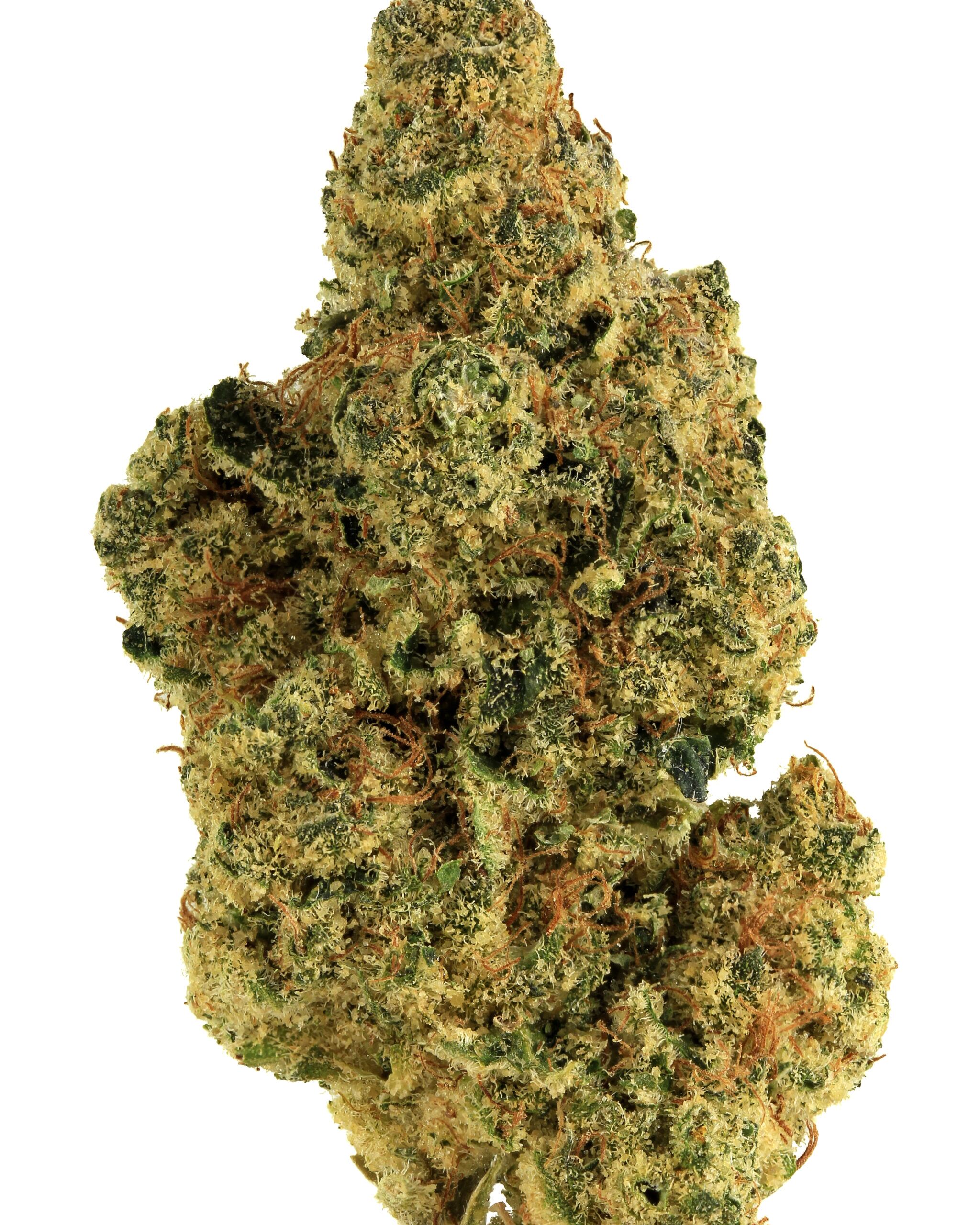 CALI Mmmosa Evo flower
