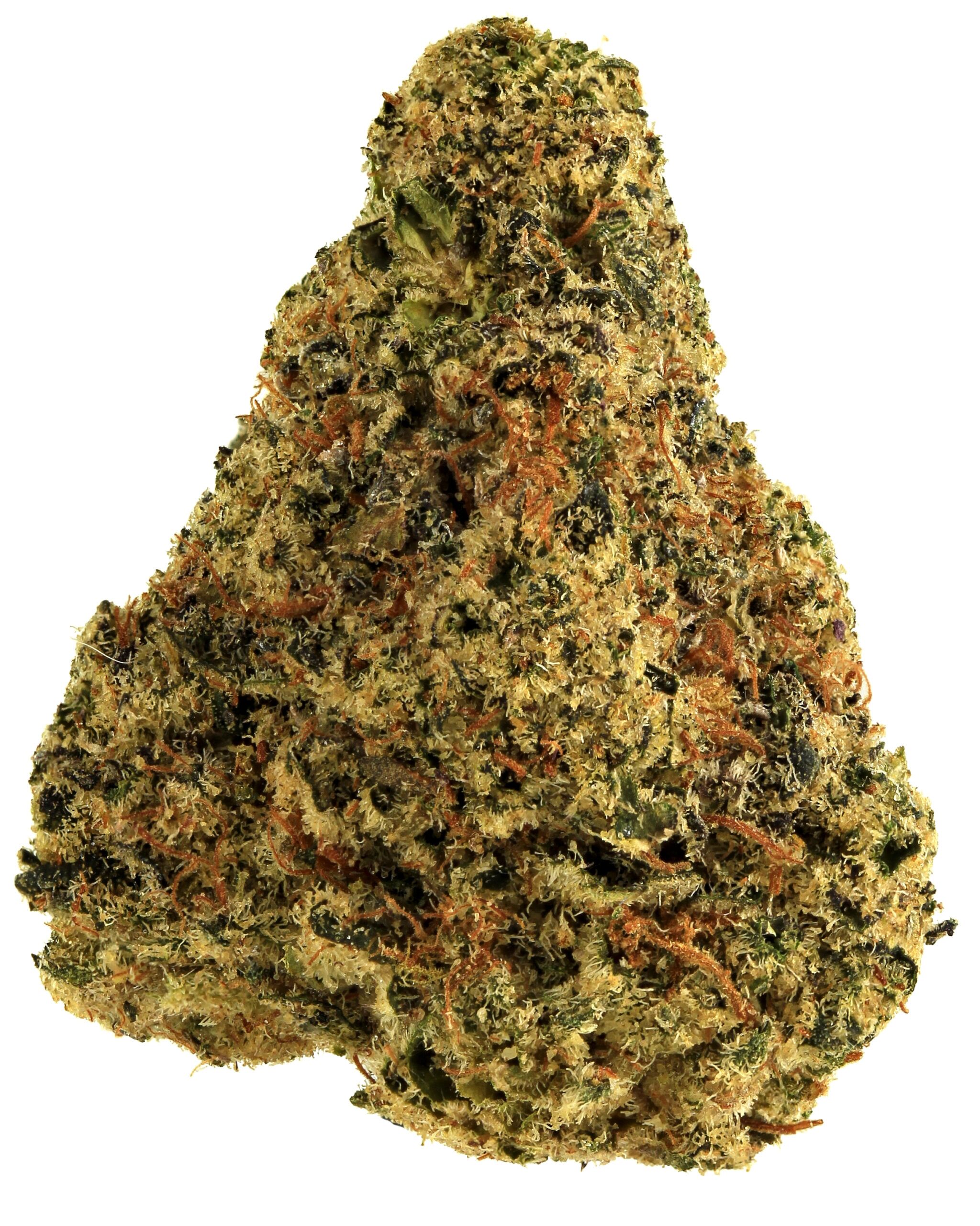 MTL Cannabis Apple Fritter flower