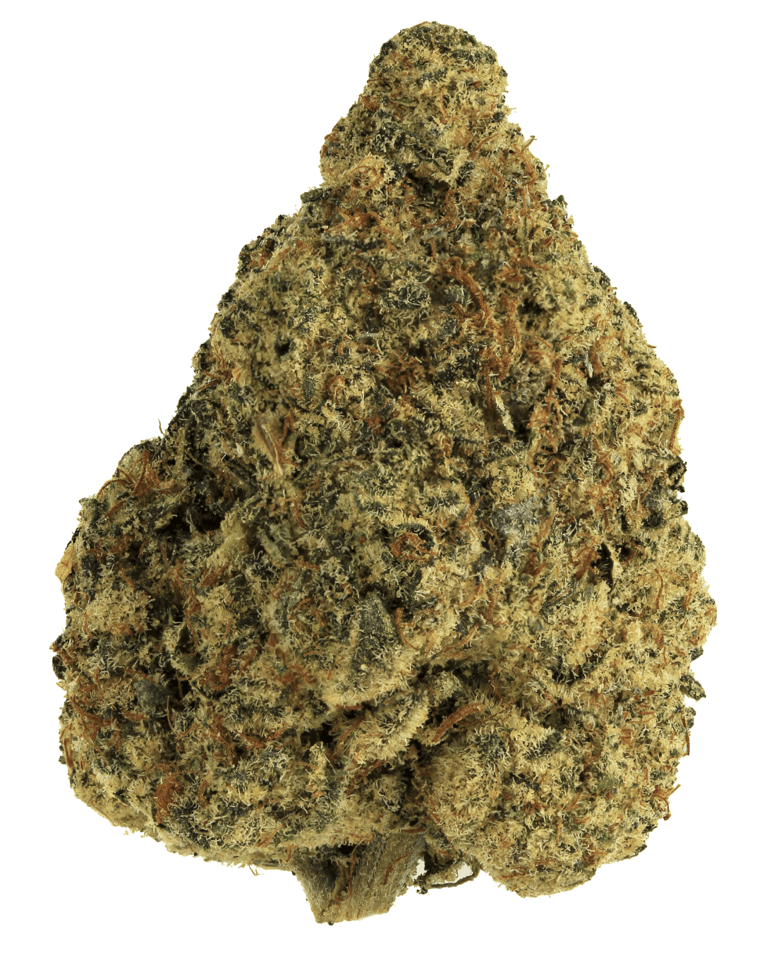 hybrid 4