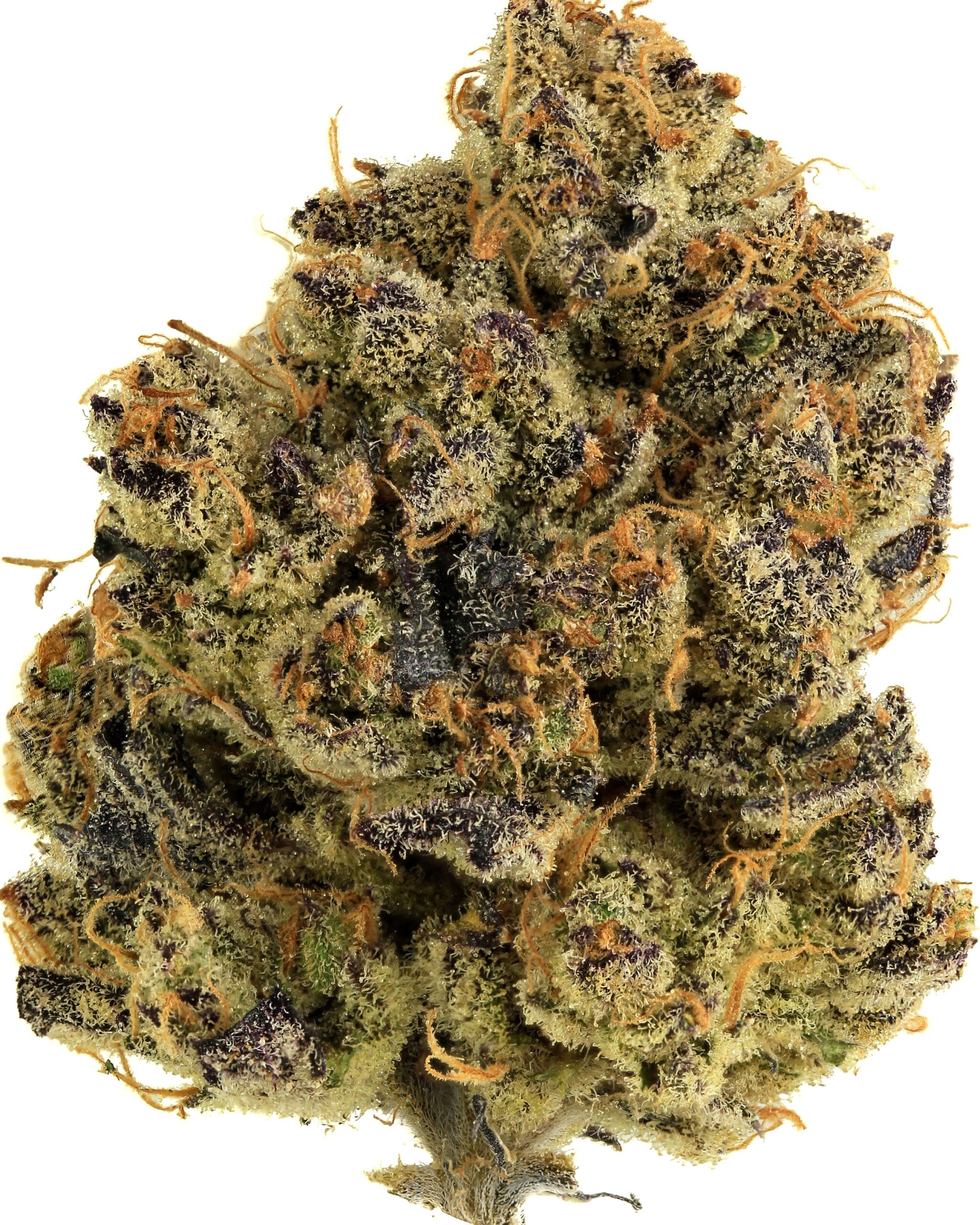 Pineapple Buds Purple Gushers flower
