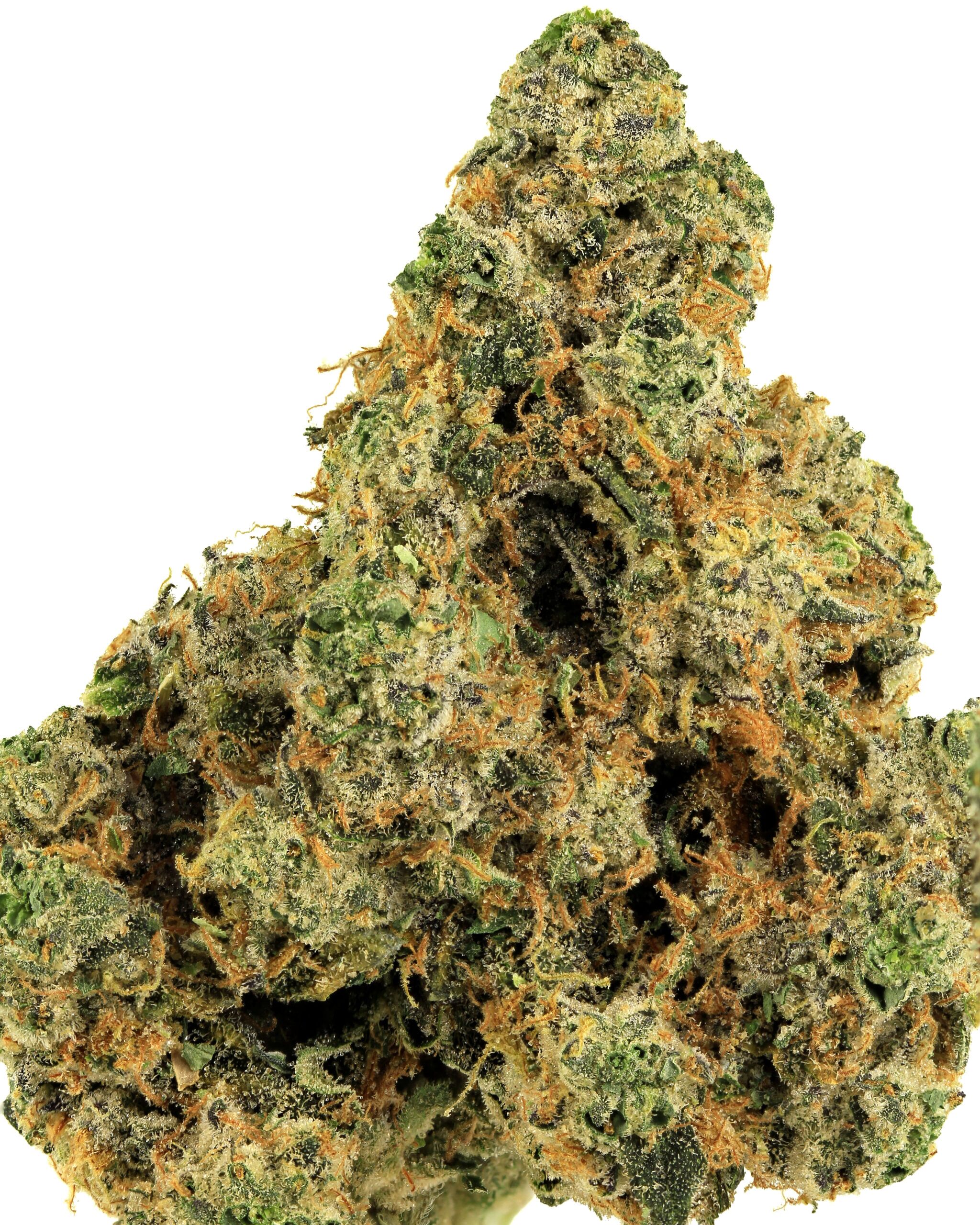 Royal Cannabis Supply Co. flower