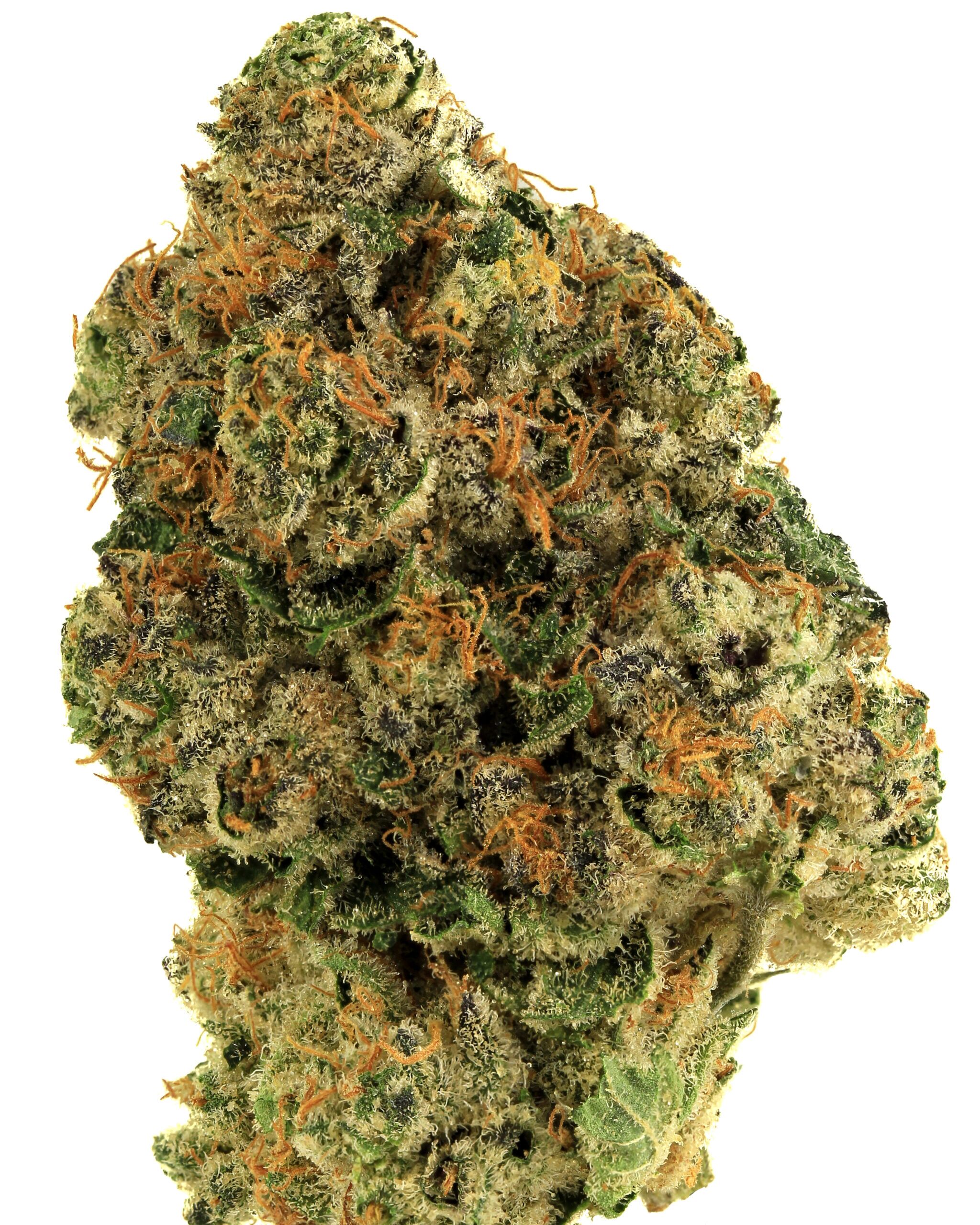 Sublime Culture Gelato 33 flower