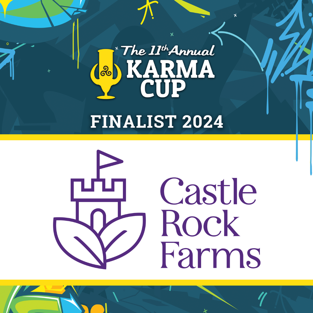 Karma Cup 2024 finalist panel 3